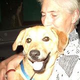 Sonia,kundelek,male�ka,8kg