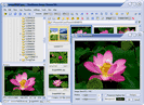 image viewer